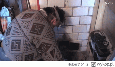 Hubert151 - #kononowicz Też czujecie takie dziwne rozdarcie między smutkiem z świadom...