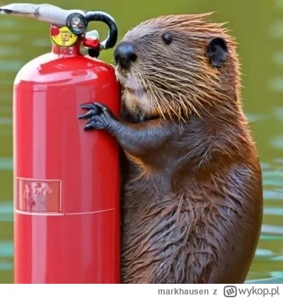 markhausen - Skrót obrad sejmu

#sejm