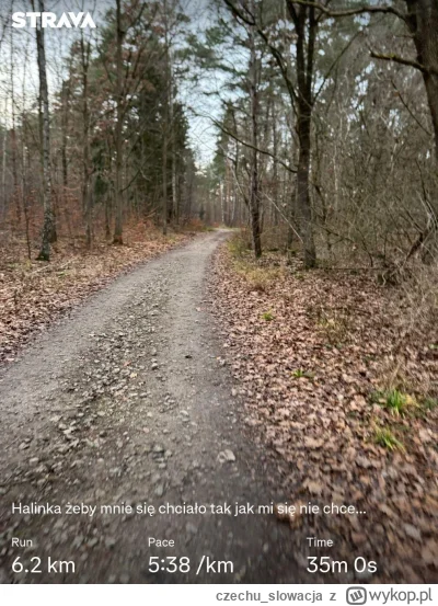 czechu_slowacja - 56 935,74 - 6,20 = 56 929,54

Mój paradoks polega na tym, że biega ...