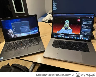 KebabWolowinaSosOstry - Desktopowy Linux to takie gówno że lepiej już MacBooka kupić ...