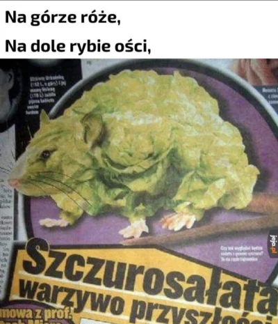 wscieklizna_irl