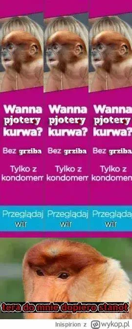 lvbie_placki - #konkursnanajbardziejgownianymemznosaczem