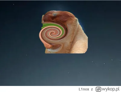 L1nox - U mnie dobry widok był