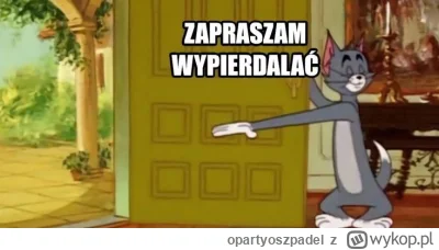 opartyoszpadel