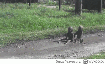 DurzyPszypau - Wylądowali...

Trwa pierwsza próba nawiązania kontaktu ( ͡° ͜ʖ ͡°)

#u...