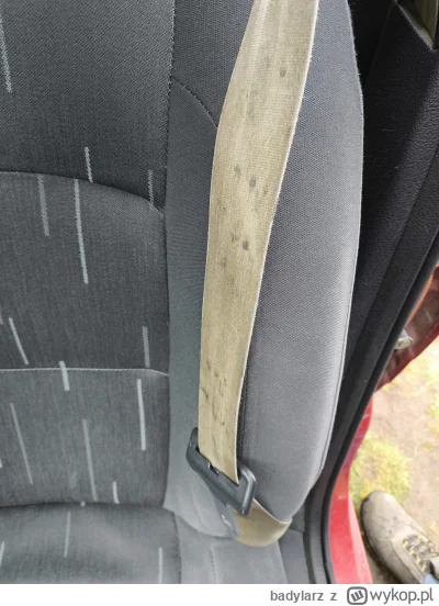 badylarz - Czym potraktować takie pasy aby choć trochę odzyskały wygląd? #cardetailin...