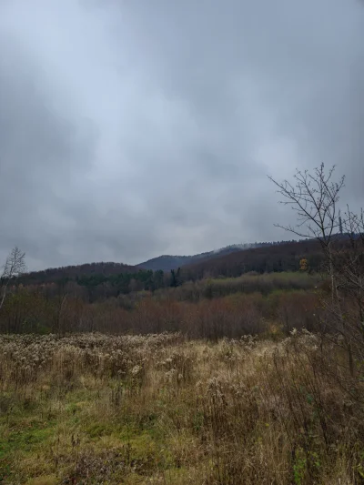 remlezar - #przegryw #spierdotrip