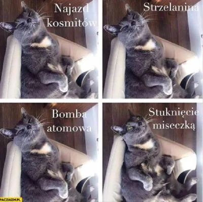 arkadi2020 - #heheszki #humorobrazkowy #kitku