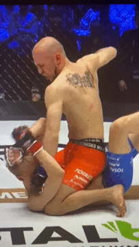 feel-the-scale - @michal123654: barwne było ujeżdżanie Olejnika