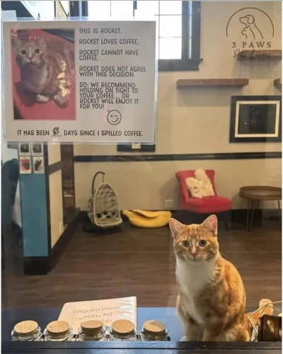 Corvus_Frugilagus - Witam wszystkich serdecznie w tę sobotnią noc.