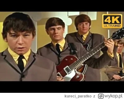 kureci_paratko - #zapomnianamuzyka