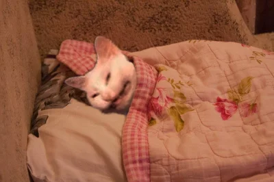 kolorowy_monochrom - Ajjjj nie pamiętam hasła do poczty w pracy, a mam zapisane w for...