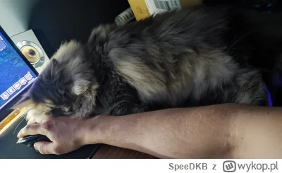 SpeeDKB - @Lujdziarski wizę że czasy Leszke są pamiętane ( ͡º ͜ʖ͡º)