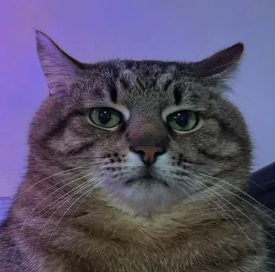 Timer_555 - #przegryw