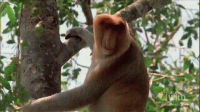 wfyokyga - Tak się właśnie czuje