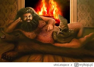 ufoLatajace - Hagrid już czeka 
#harrypotter