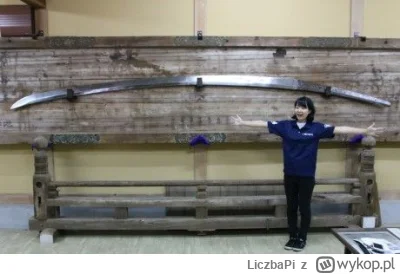 LiczbaPi - Co ciekawe jest to najdłuższy miecz z IV wieku a nie najdłuższy w historii...