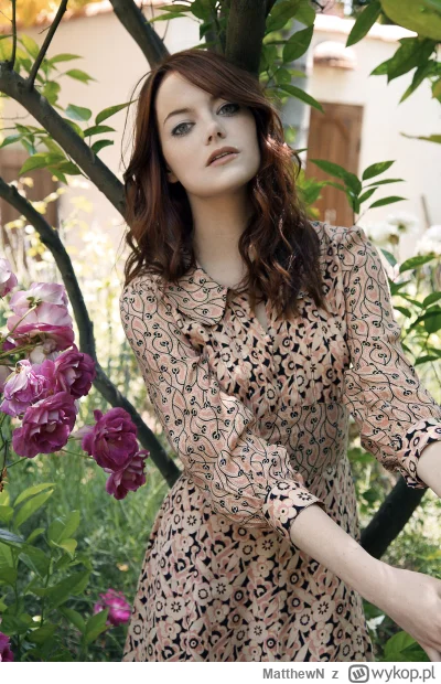 MatthewN - #codziennaemmastone 1581/x

Emma Stone
Allure
2010