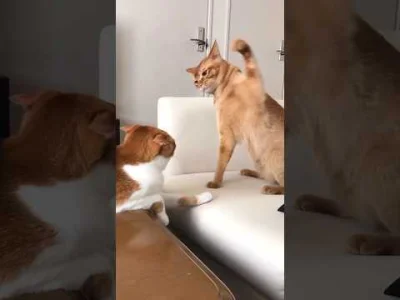 Macuga_ - #przegryw Życie kontra ja