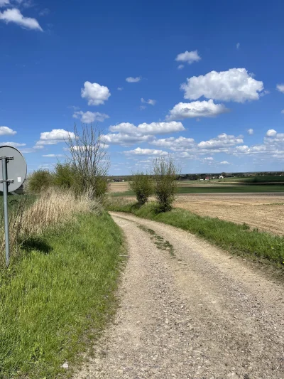 dywanikudyrektora - Wieś spokojna, wieś wesoła 

#przegryw #spierdotrip