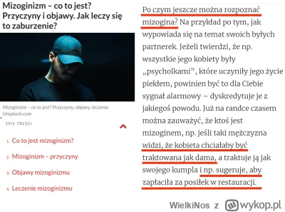 WielkiNos - Mizoginia: przyczyny, objawy, leczenie.

Unikasz kobiet? Wypowiadasz się ...