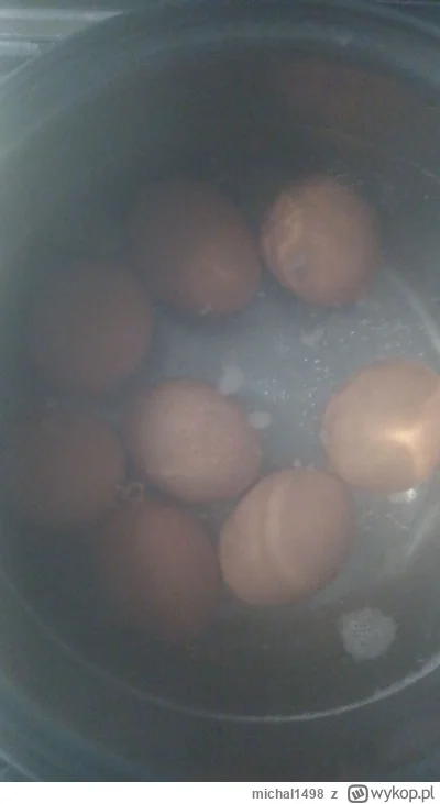 michal1498 - Ale j---a panowie 
#przegryw