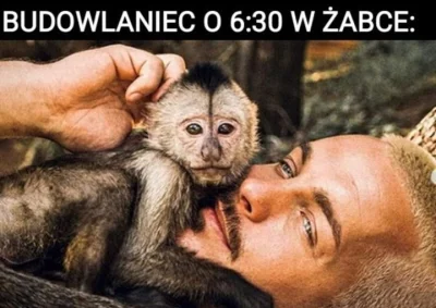 Pendulum1337 - #humor #heheszki #humorobrazkowy #zabka #budownictwo #takaprawda
( ͡°(...