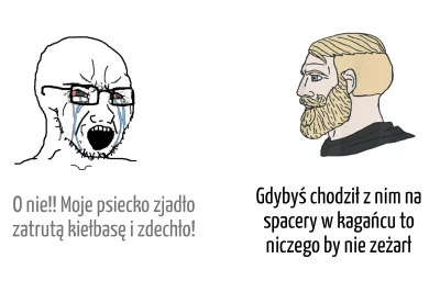 Mochizuki - #psy #psiarze #heheszki #humorobrazkowy #psiegryw #bekazpodludzi