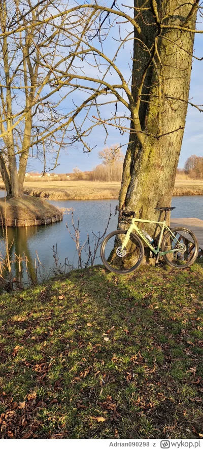 Adrian090298 - @rrobot Już u siebie na wsi nad stawem :)  Jest pięknie, chociaż jutro...