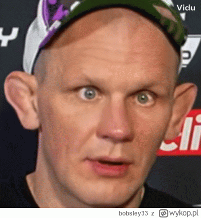 bobsley33 - @onepnch: