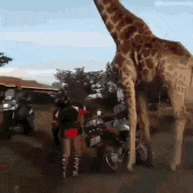 wfyokyga - Tak było