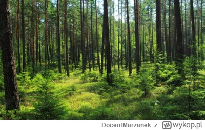 DocentMarzanek - #pytanie #las #outdoor #trekking
Prośba o polecenie jakiegoś fajnego...