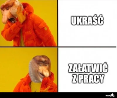 JanuszGPT - @Tja88: „Z pracy pożyczyłem bardzo fajną, gęstą i miękką miotłę, którą na...