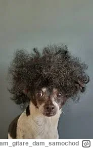 D.....d - Zostaw kukureje gnoju 
#mecz