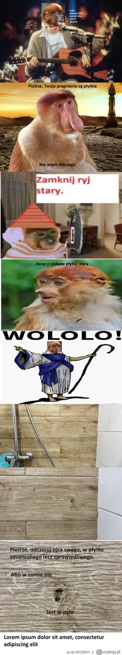 acdc2052001 - Wololo!

#konkursnanajbardziejgownianymemznosaczem