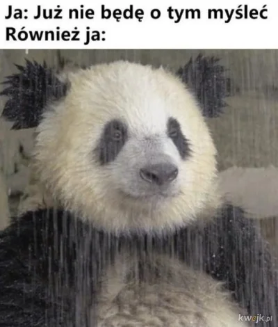 Jashon_Statham - Od jutra nastaje dzień gdzie już nie wysyłam CV. 300 sztuk poszło w ...