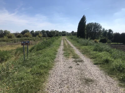 ChlopoRobotnik2137 - A potem monotonna droga na walach , mocno dała w kość