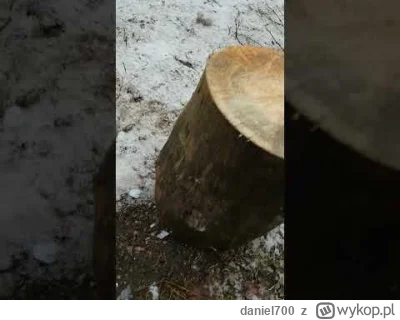 daniel700 - @Serpentens: https://www.youtube.com/watch?v=9okU_r6J9ek