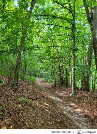 sezonandrzeja - Sobotni spacer, wokół natura i nikt nie w-----a swoją obecnością. Szk...