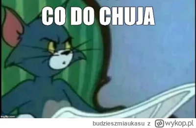 budzieszmiaukasu - #mecz