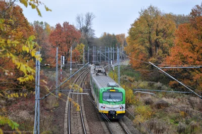 choochoomotherfucker