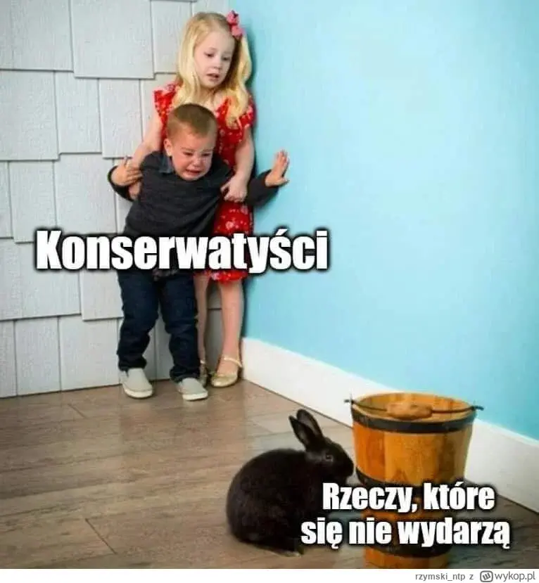 Kotouak - #polityka #heheszki