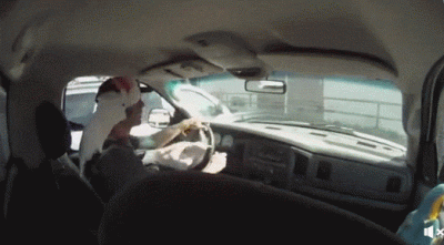 wfyokyga - Kręcenie papugiem