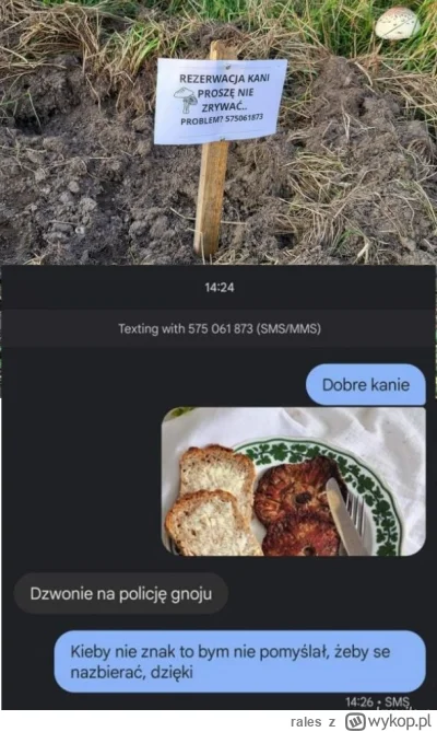 rales - Właśnie podjadłem kani z solą i pieprzem. Drugi raz w życiu
SPOILER