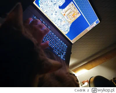 Cedrik - Aaaale żeście mnie teraz wkurzyli, H3 HOTA. 

Okazuje się, że jakoś niedawno...