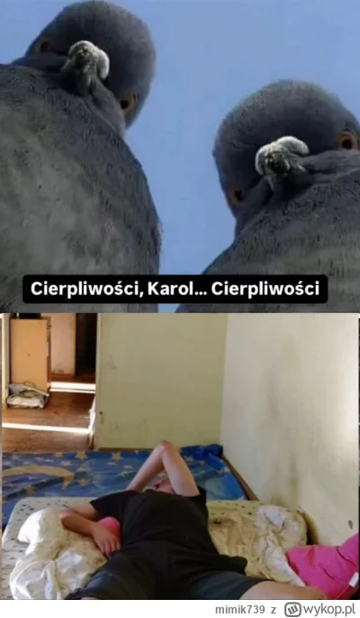 mimik739 - #danielmagical #patostreamy