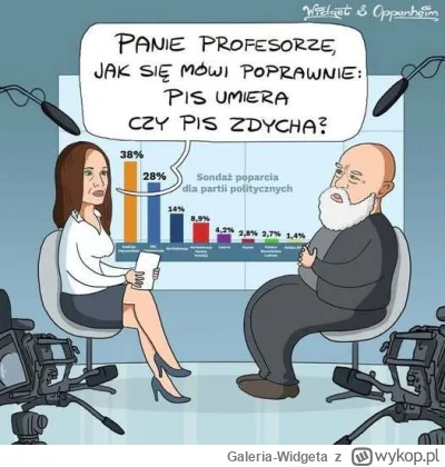 Galeria-Widgeta - Rys. Widget

#dowcip #pis #polityka #wywiad #sondaz #urojeniaprawak...