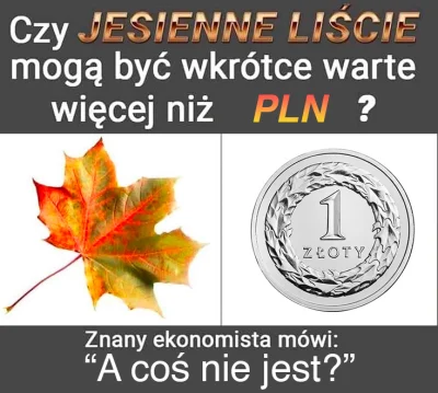 m_bielawski - EUR/PLN +1.5%
GBP/PLN +1.3%
USD/PLN +1.6%
CHF/PLN +1.1%
Jesienne Liście...