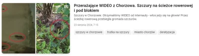 the_red - A jeden nawet zapozował na okładkę. ( ͡º ͜ʖ͡º)