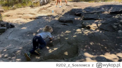 R2D2zSosnowca - Weekend - i to długi weekend bo Labor Day. A jak tyle wolnego to i ch...